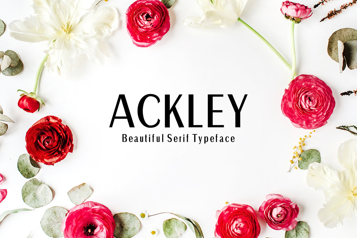 Ackley Sans Serif Font Family Free Download Ackley Sans Serif Font Family Free Download