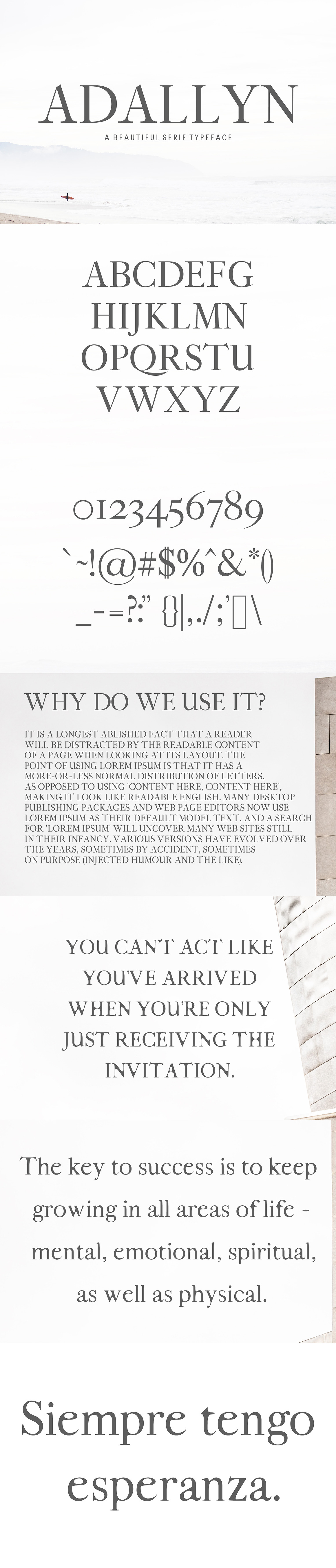 Adallyn Serif Font Family Free Download Adallyn Serif Font Family Free Download