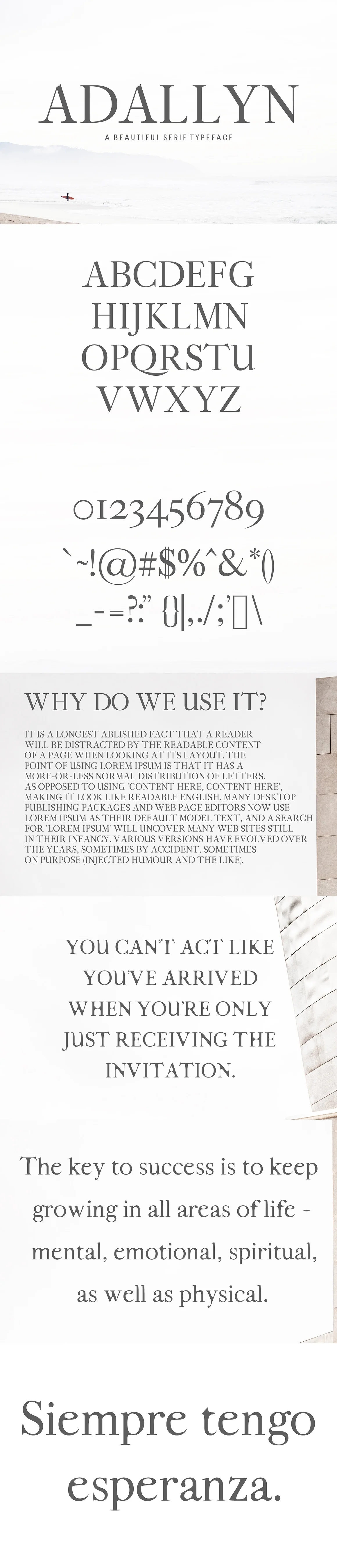 Adallyn Serif Font Family