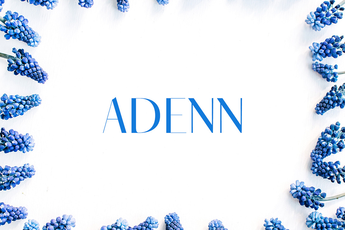 Adenn Serif 4 Font Family Pack Free Download Adenn Serif 4 Font Family Pack Free Download