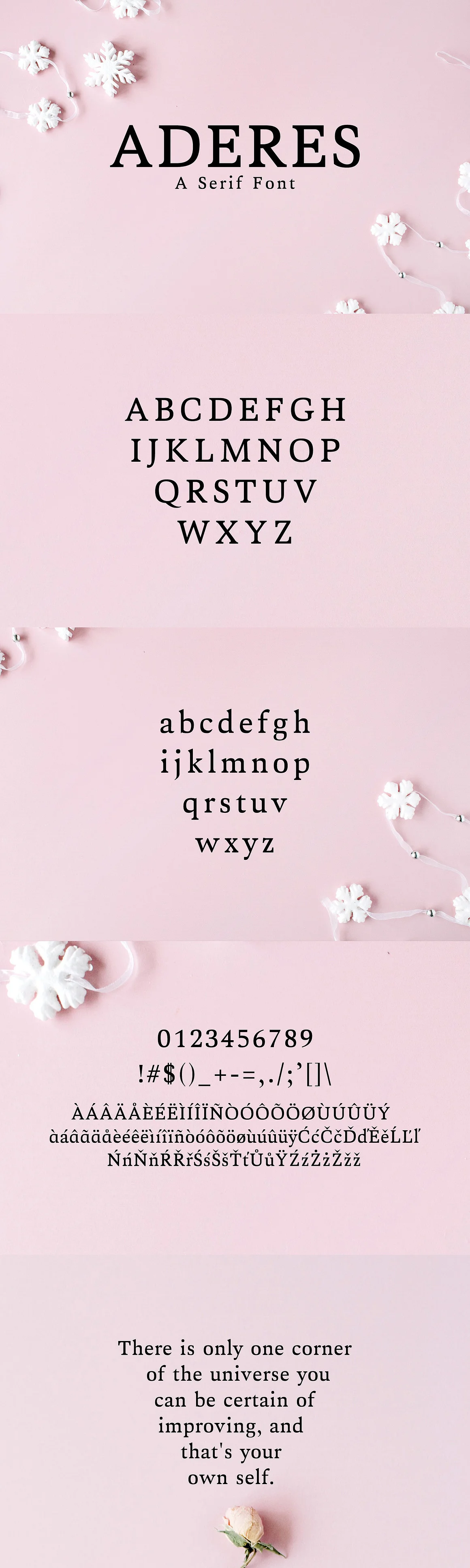 Aderes Serif 2 Font Family Pack