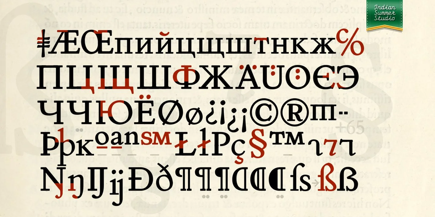 Aldo New Roman Font