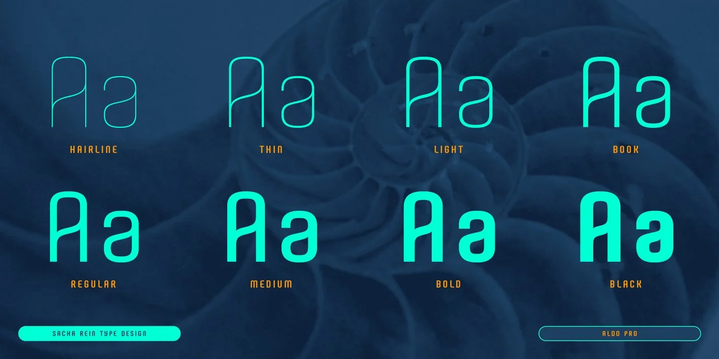 Aldo Pro Font