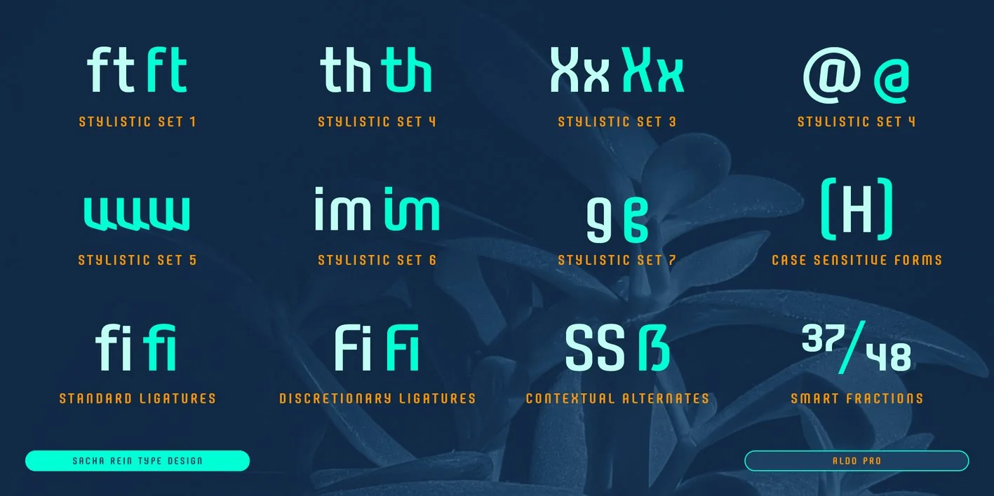 Aldo Pro Font