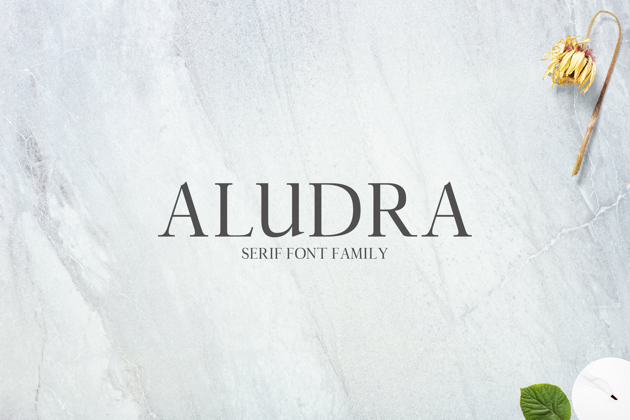 Aludra Font Free Download