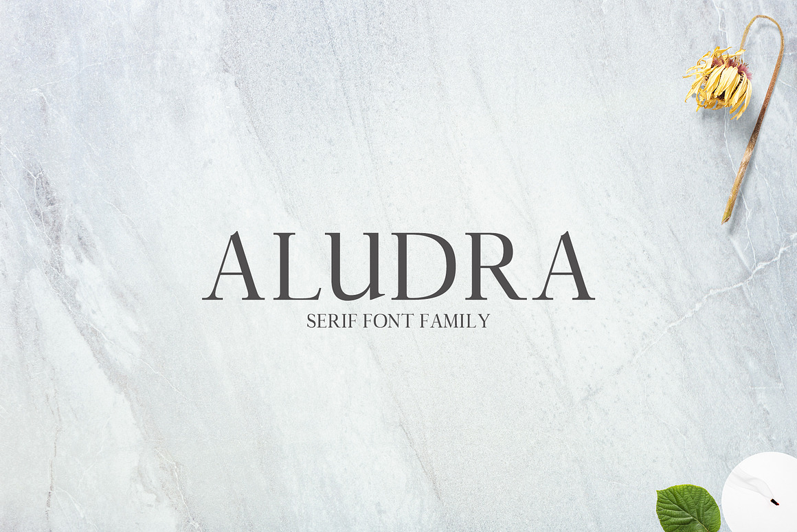 Aludra Serif 12 Font Family Pack Free Download