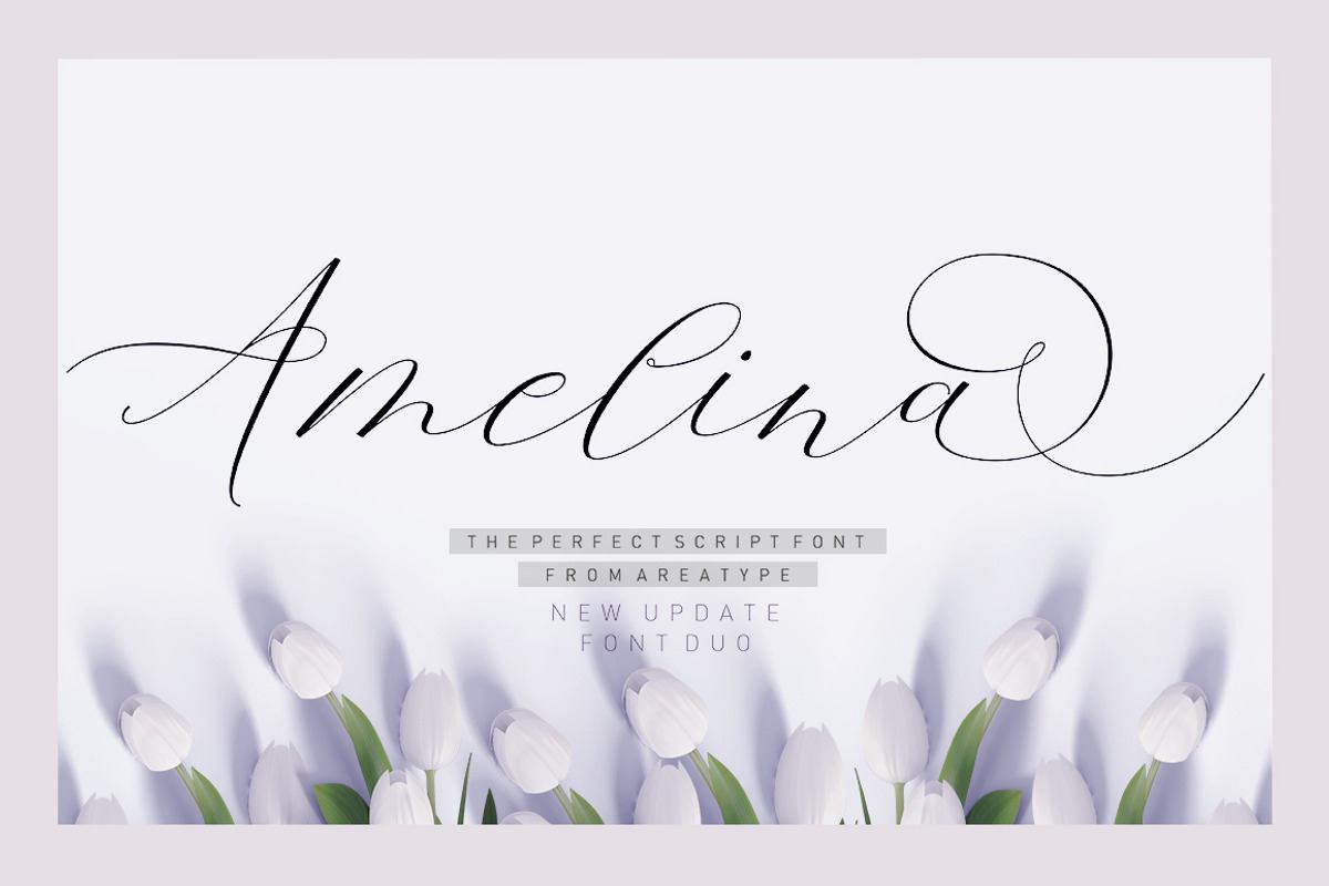 Amelina Script New Update Font Duo Free Download Free Download Amelina Script New Update Font Duo Free Download Free Download