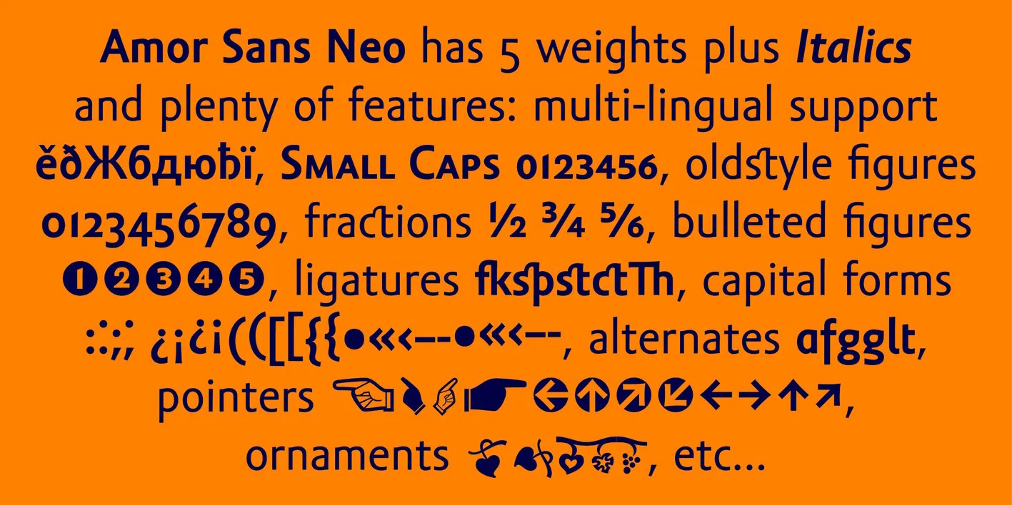 Amor Sans Neo Font