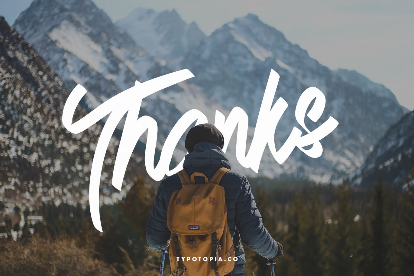 Andals Script Typeface Free Download Andals Script Typeface Free Download