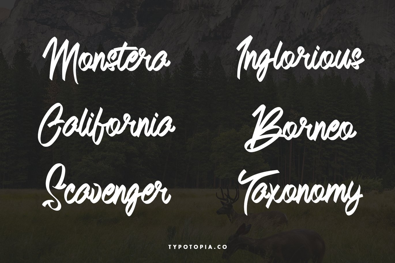 Andals Script Typeface Free Download Andals Script Typeface Free Download