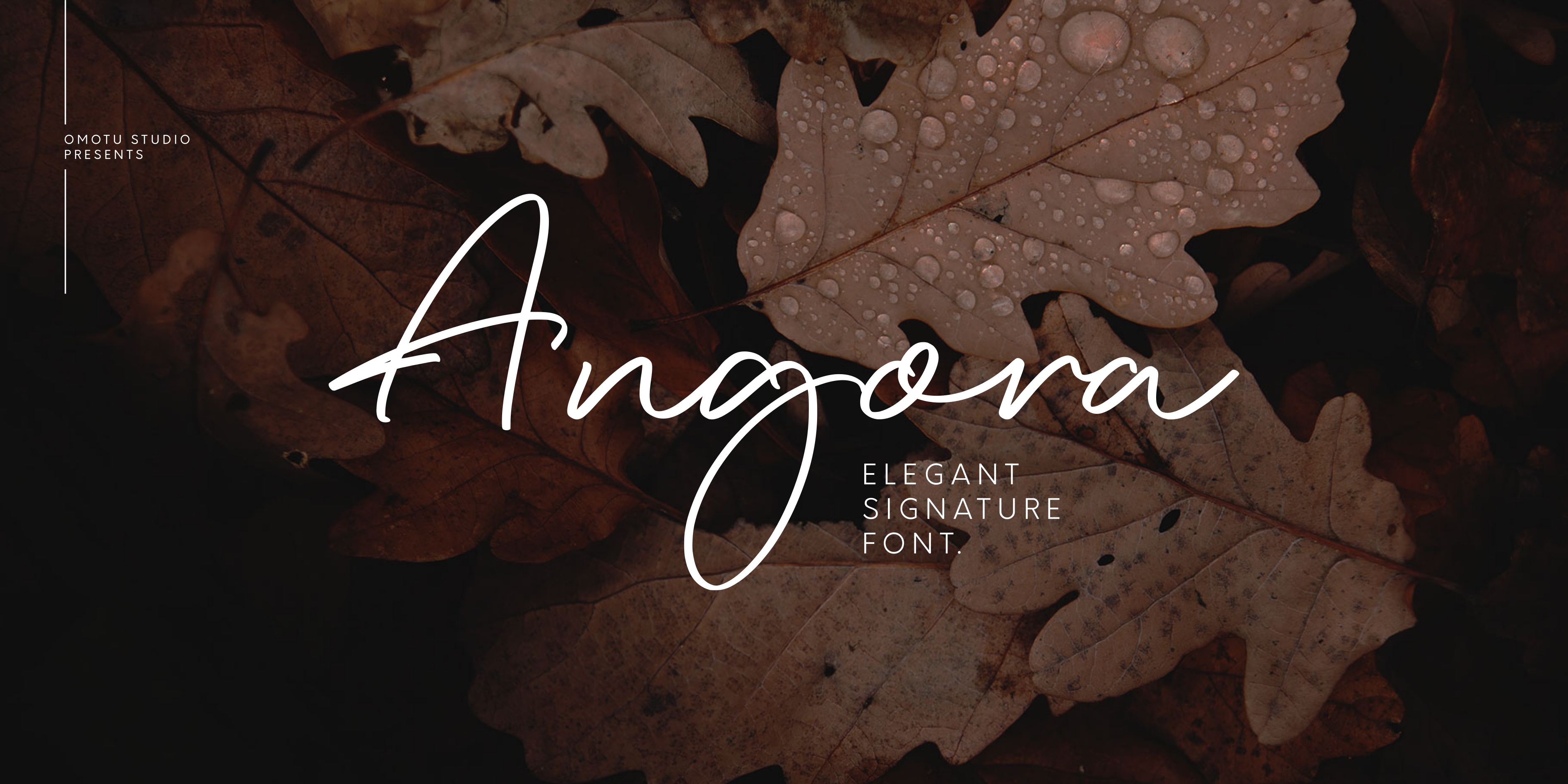 Angora Free Download Free Download Angora Free Download Free Download