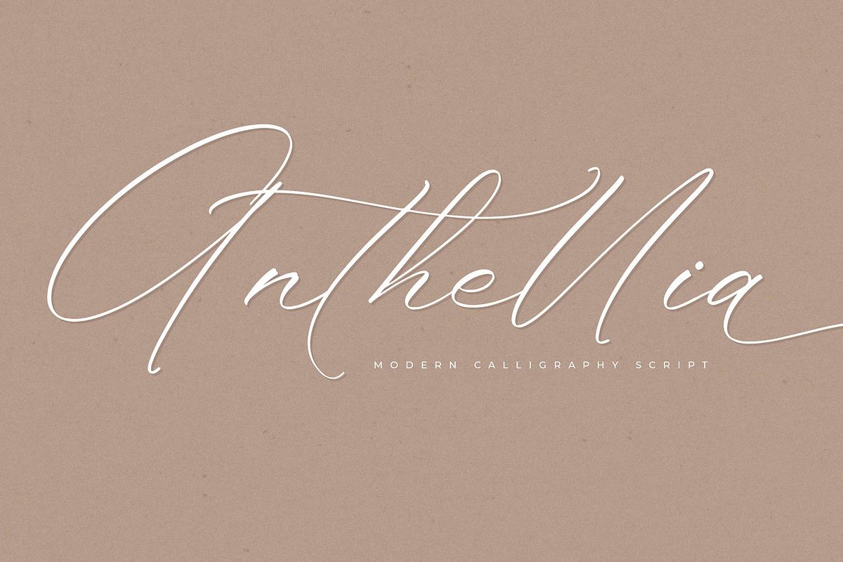Anthellia Modern Calligraphy Script Free Download Free Download Anthellia Modern Calligraphy Script Free Download Free Download
