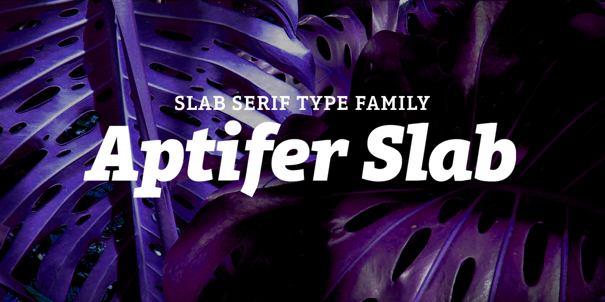Aptifer Slab Free Download Free Download Aptifer Slab Free Download Free Download