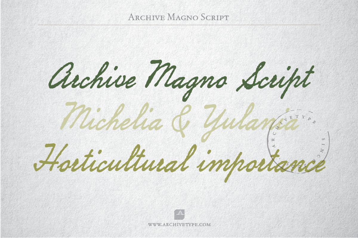Archive Magno Script Free Download Free Download Archive Magno Script Free Download Free Download