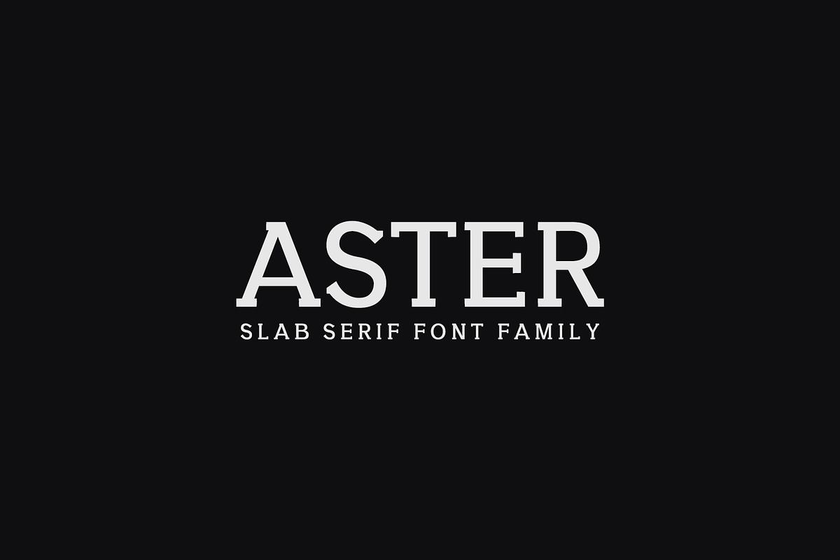 Aster Slab Serif 9 Font Family Pack Free Download Free Download Aster Slab Serif 9 Font Family Pack Free Download Free Download