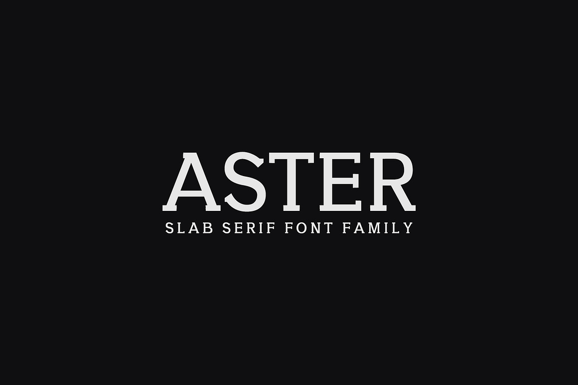 Aster Slab Serif 9 Font Family Pack Free Download Aster Slab Serif 9 Font Family Pack Free Download