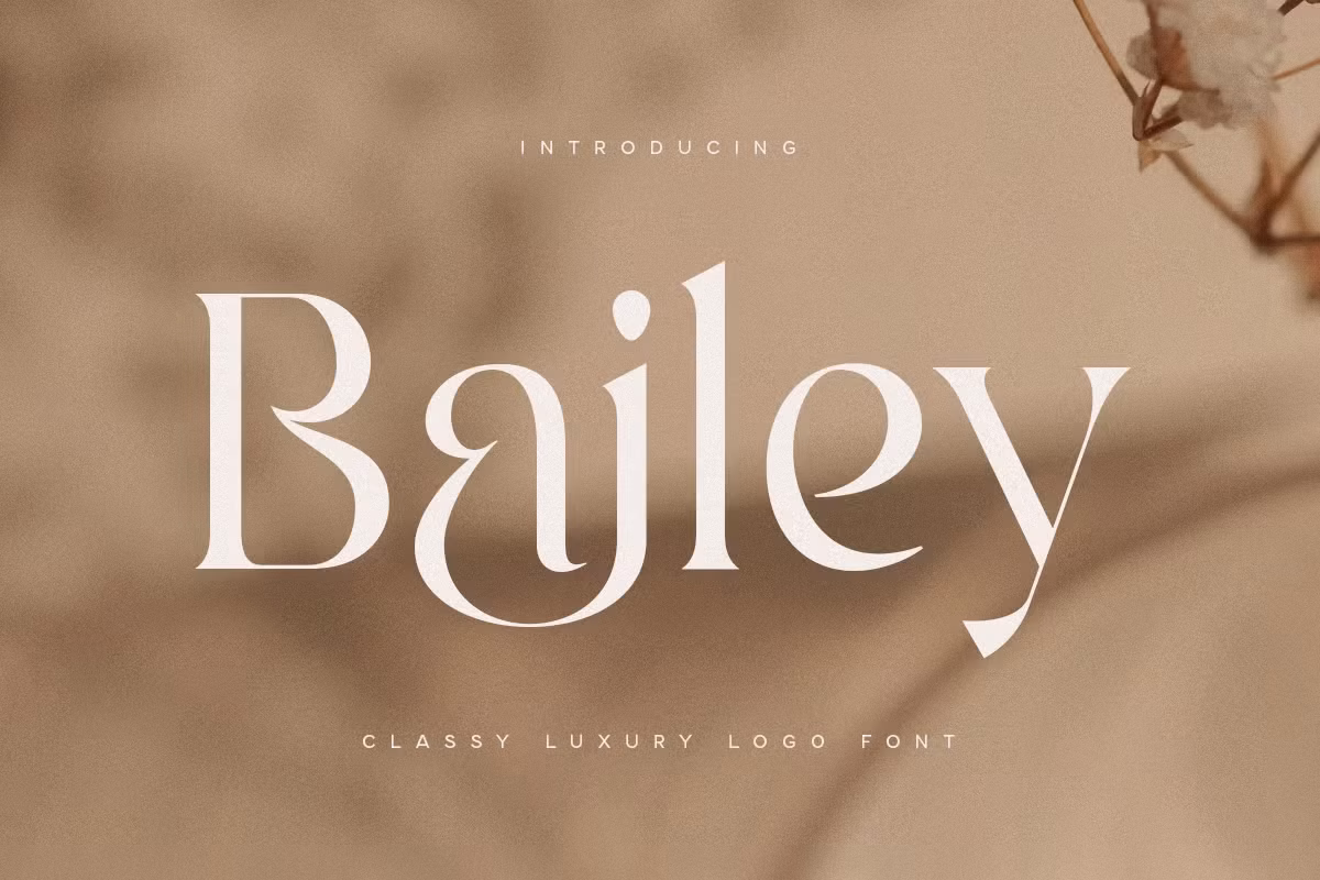 Bailey - Classy Luxury Logo Font Free Download Free Download Bailey - Classy Luxury Logo Font Free Download Free Download