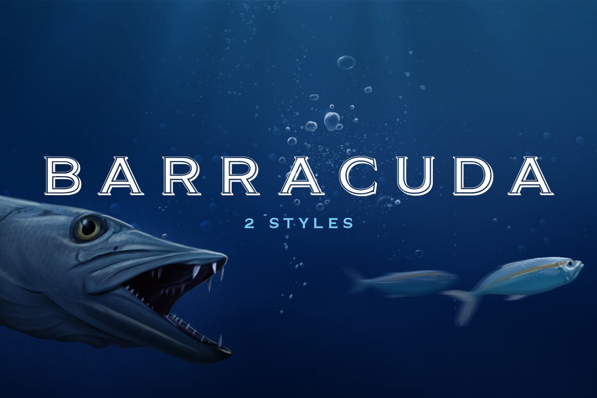 Barracuda Display - Logo Font Free Download Free Download Barracuda Display - Logo Font Free Download Free Download