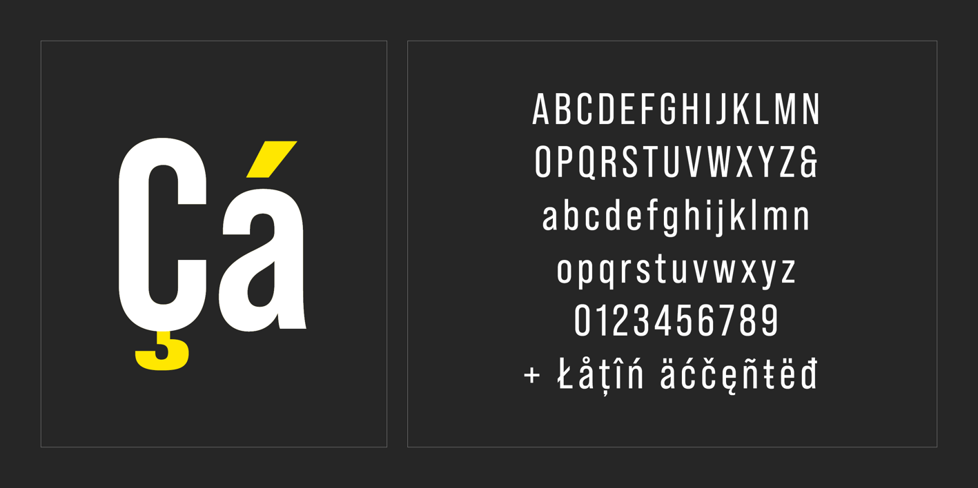 Bebas Neue Pro Font Free Download Bebas Neue Pro Font Free Download