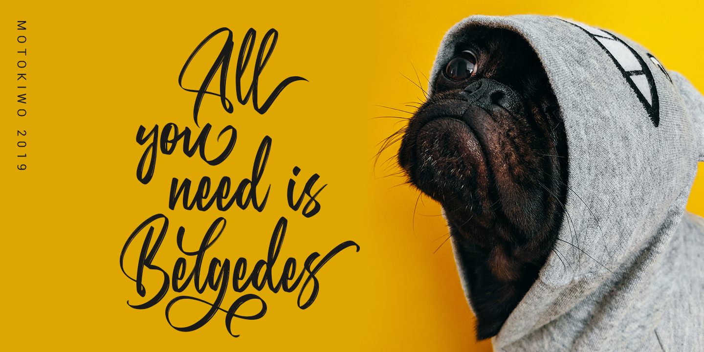 Belgedes Free Download Free Download Belgedes Free Download Free Download