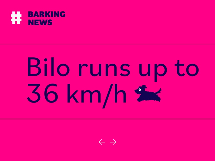 Bilo Font Free Download Bilo Font Free Download