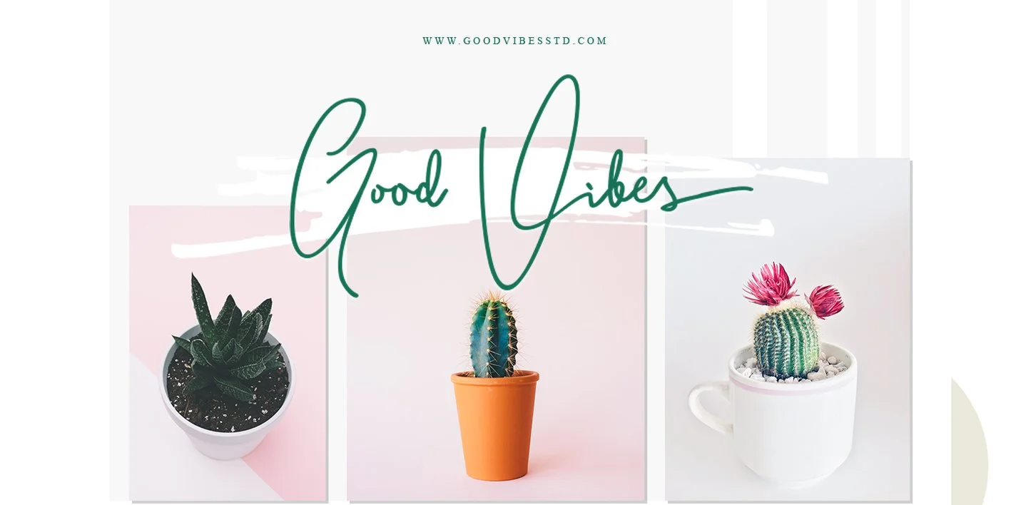 Bitlamero Script Font Free Download Free Download