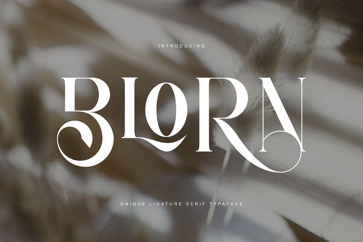 BLORN UNIQUE SERIF TYPEFACE Free Download Free Download BLORN UNIQUE SERIF TYPEFACE Free Download Free Download