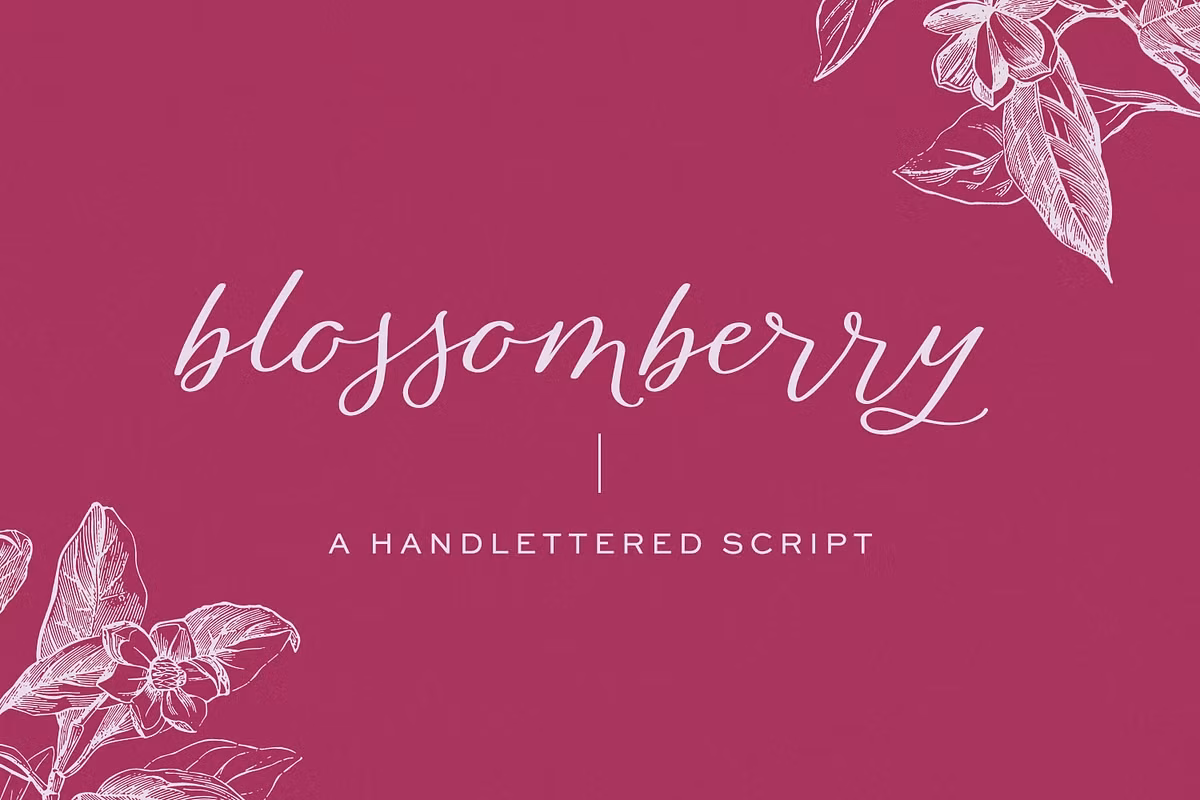 Blossomberry Script Font Free Download Free Download Blossomberry Script Font Free Download Free Download
