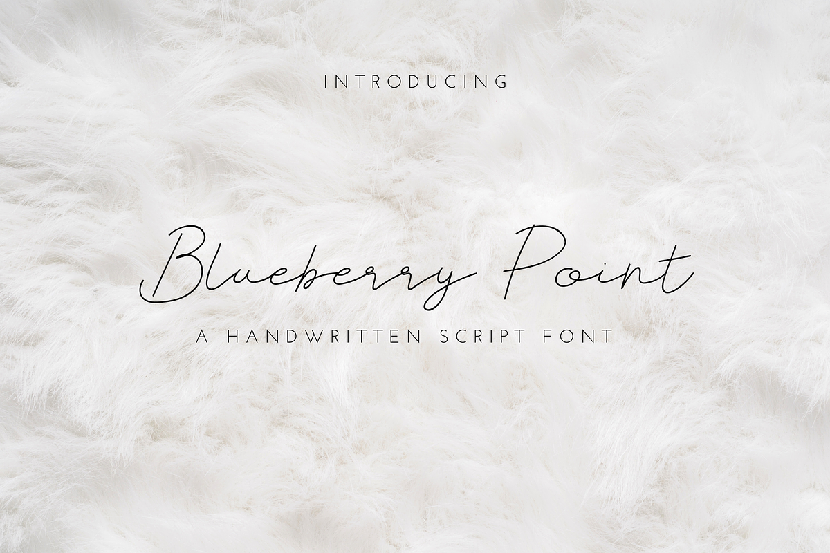 Blueberry Point Free Download Free Download Blueberry Point Free Download Free Download