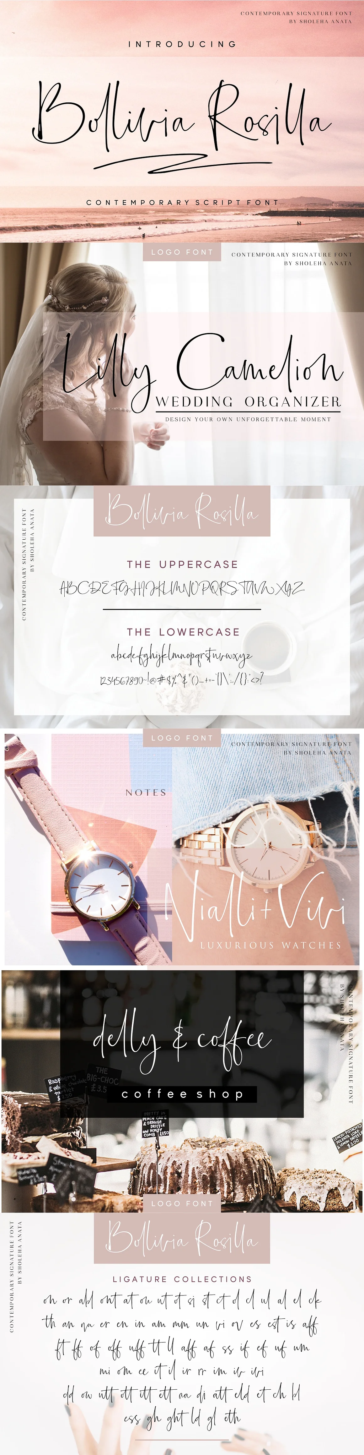 Bollivia Rosilla Font