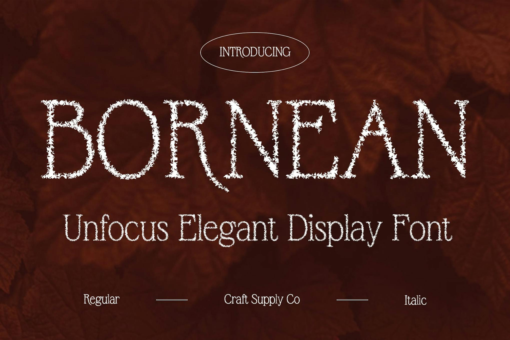 Bornean Unfocus Font Free Download Bornean Unfocus Font Free Download