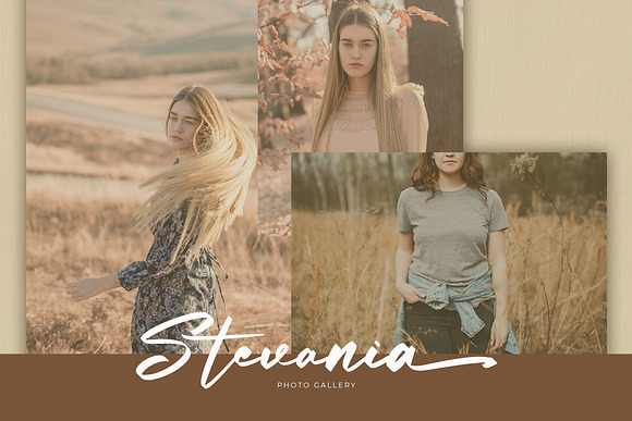 Bottamkia Brush Script Font Free Download Bottamkia Brush Script Font Free Download