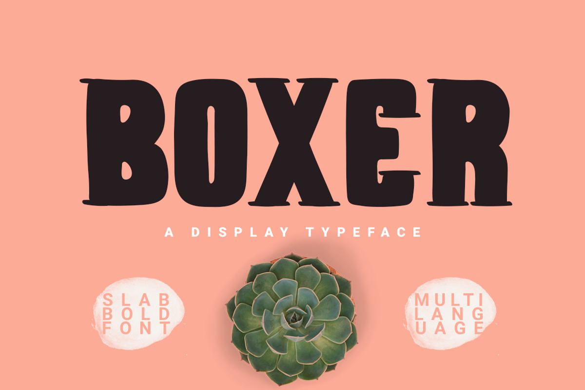 Boxer Typeface Free Download Free Download Boxer Typeface Free Download Free Download