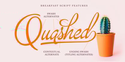 Breakfast Script Font Free Download
