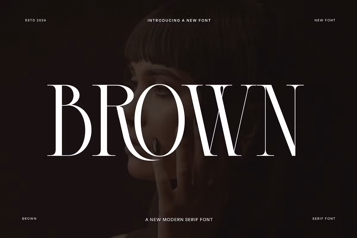 BROWN Modern Serif Font Free Download Free Download BROWN Modern Serif Font Free Download Free Download