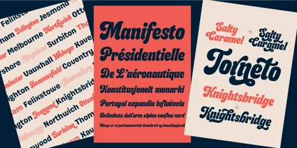 Budge Font