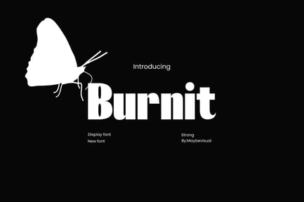 Burnit Font
