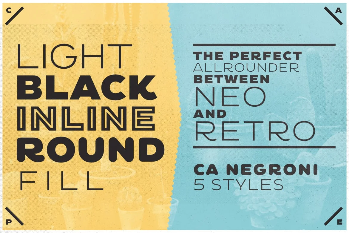 CA Negroni Font
