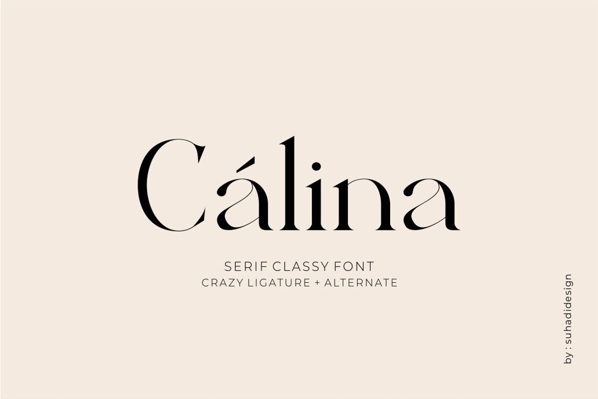 Calina serif classy font Free Download Free Download Calina serif classy font Free Download Free Download