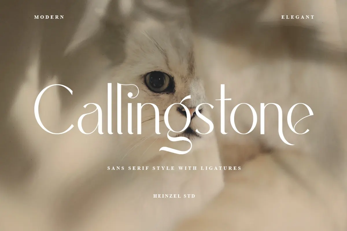 Callingstone Modern Sans Serif Font Free Download Free Download Callingstone Modern Sans Serif Font Free Download Free Download