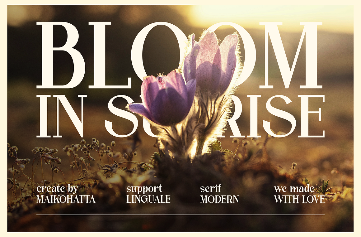 Calvine - Modern Serif Font Typeface Free Download Calvine - Modern Serif Font Typeface Free Download