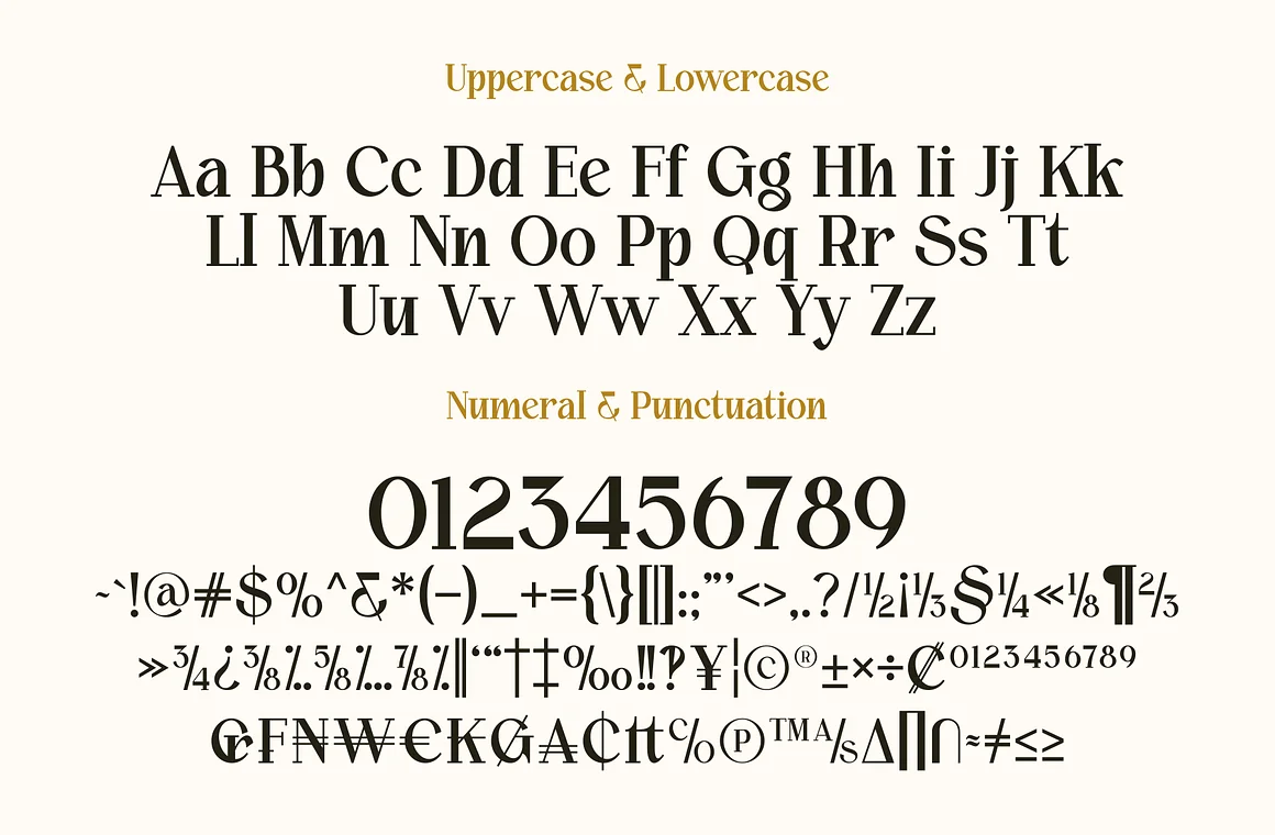 Calvine - Modern Serif Font Typeface