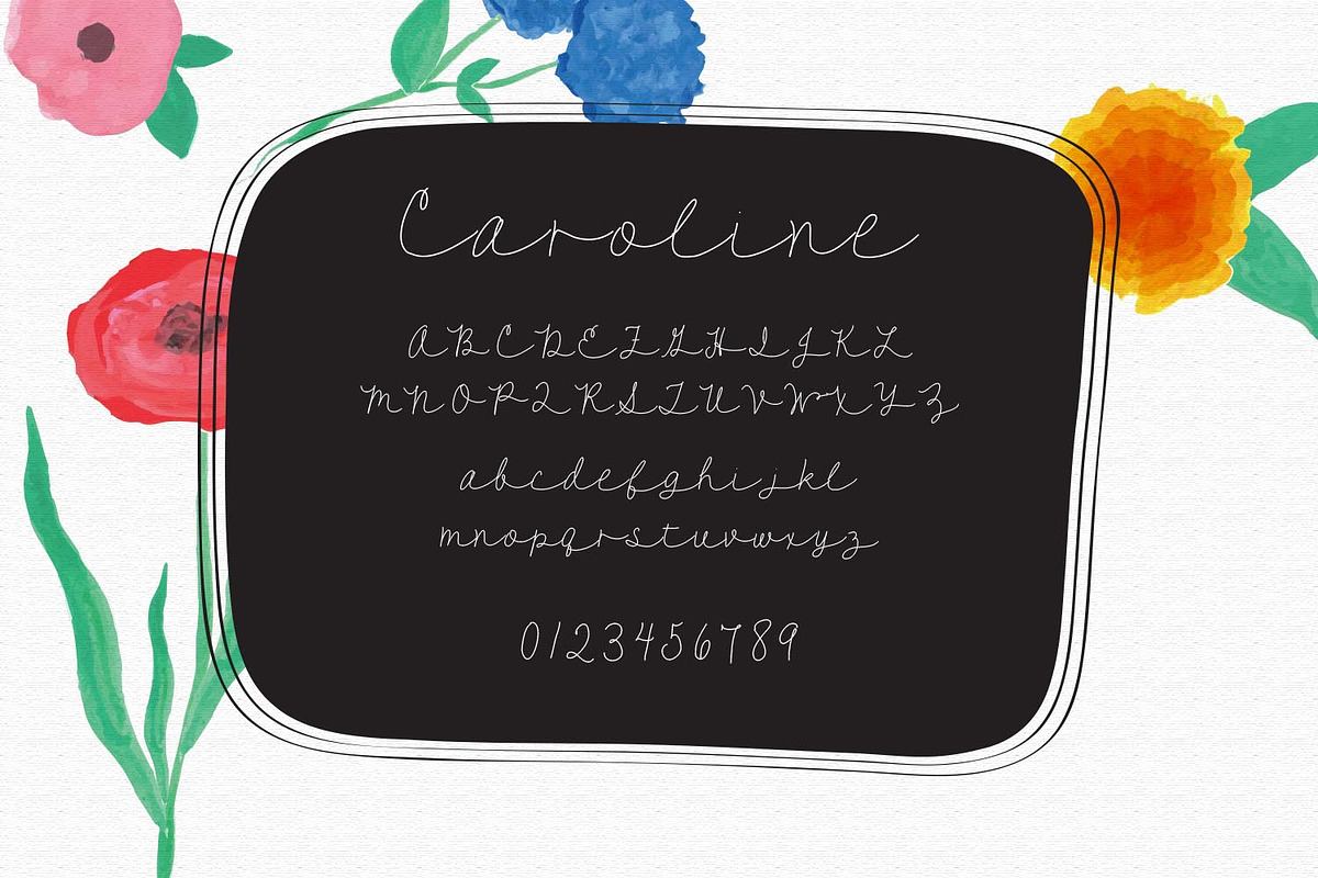 Caroline - A Script Font Free Download Free Download Caroline - A Script Font Free Download Free Download