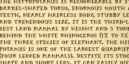 Cartographer Font