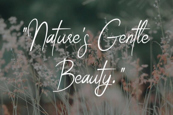 Celestial Grace Font Free Download Celestial Grace Font Free Download