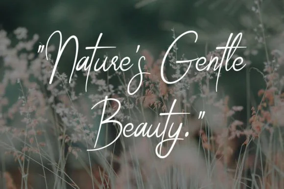 Celestial Grace Font