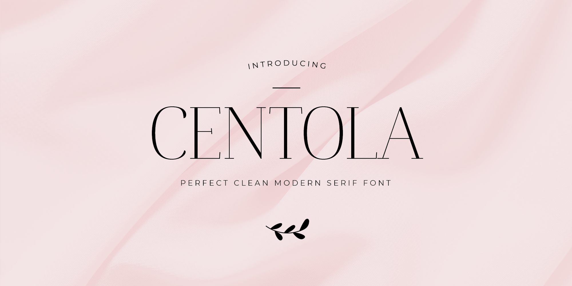 Centola Free Download Free Download Centola Free Download Free Download
