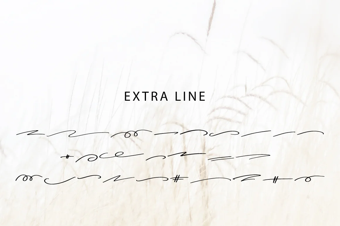 Cherish With Extra Line Font