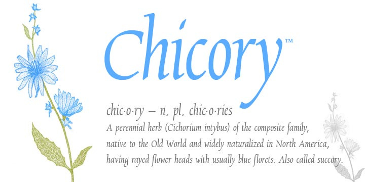 Chicory Font Free Download Chicory Font Free Download