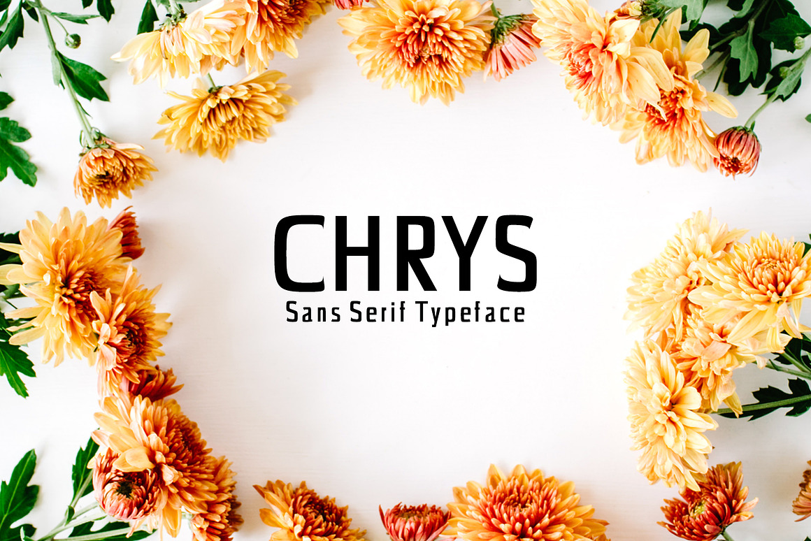 Chrys Sans Serif Font Family Pack Free Download Chrys Sans Serif Font Family Pack Free Download